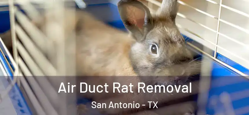 Air Duct Rat Removal San Antonio - TX