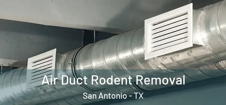Air Duct Rodent Removal San Antonio - TX