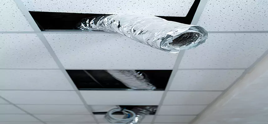 Affordable HVAC Sanitizing After Pest Removal in San Antonio