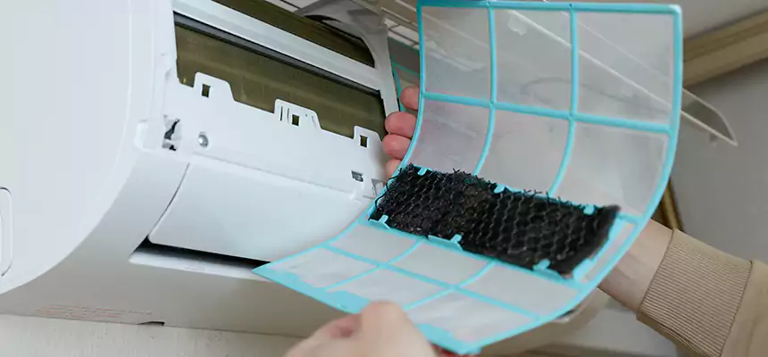 Gentle Ductwork Odor-Control Pet Dander Duct Cleaning in San Antonio, TX