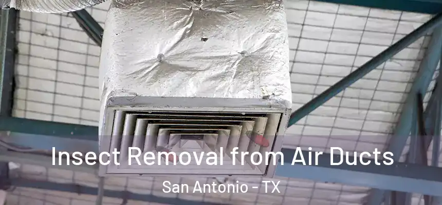 Insect Removal from Air Ducts San Antonio - TX