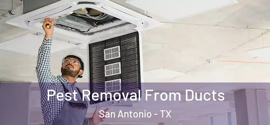 Pest Removal From Ducts San Antonio - TX