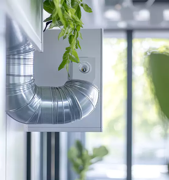 Professional Eco-Friendly Duct Cleaning Services in San Antonio, TX