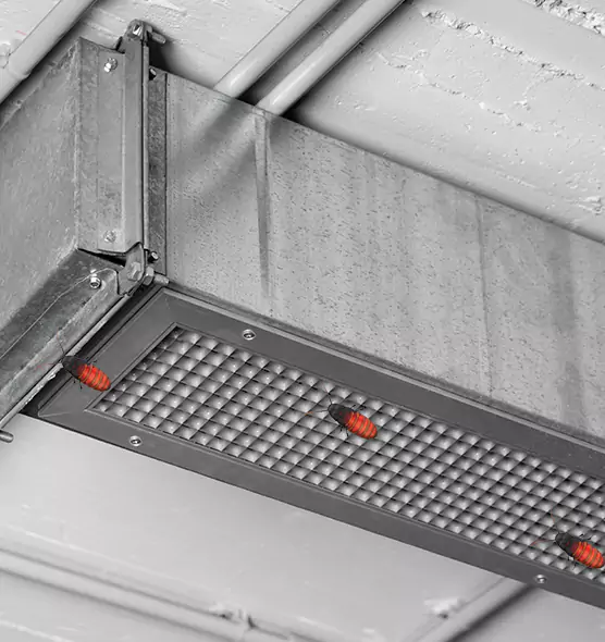 Affordable Insect Removal from Air Ducts in San Antonio, TX
