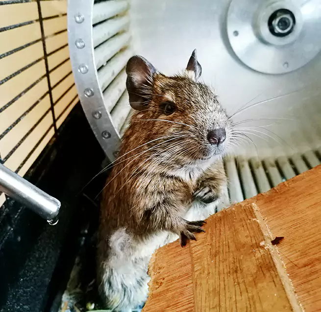 Why Homeowners & Businesses Trust Us San Antonio, TX