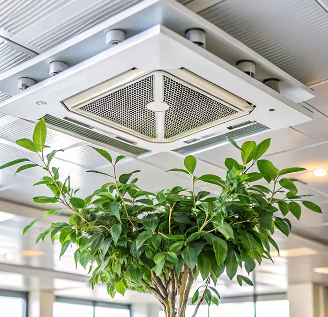 Why Homeowners & Businesses Trust Us in San Antonio, TX