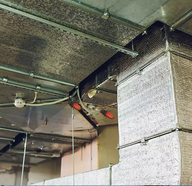 Why Homeowners & Businesses Trust Us San Antonio, TX?